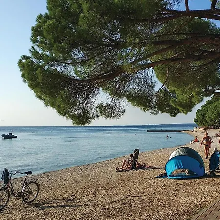 - 07 דירה פאז'אנה
